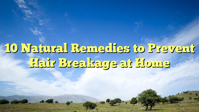 10 Natural Remedies to Prevent Hair Breakage at Home