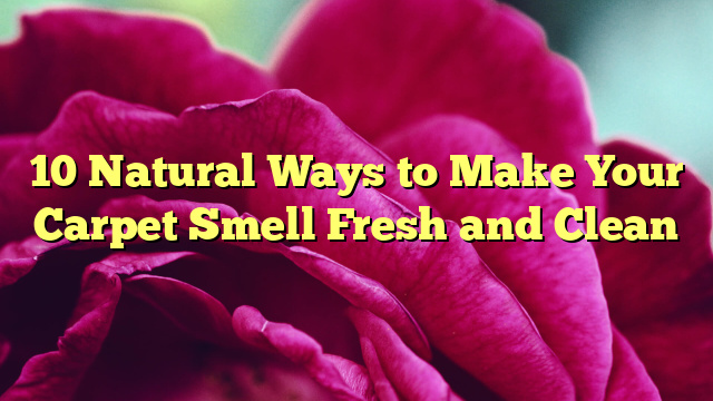 10 Natural Ways to Make Your Carpet Smell Fresh and Clean
