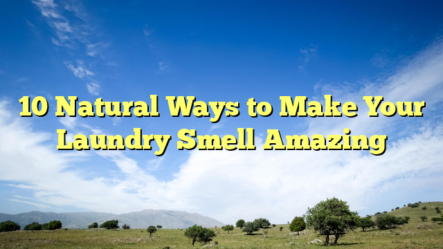 10 Natural Ways to Make Your Laundry Smell Amazing