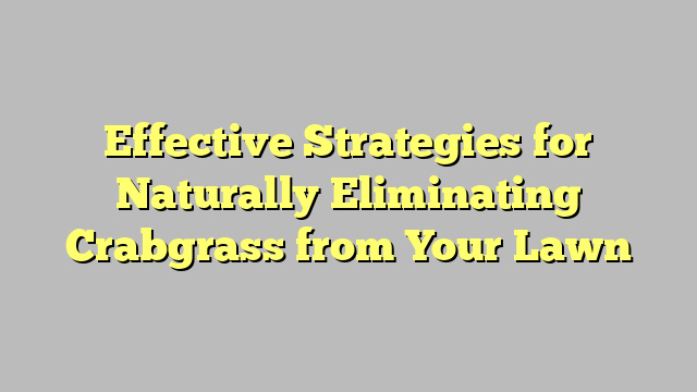 Effective Strategies for Naturally Eliminating Crabgrass from Your Lawn