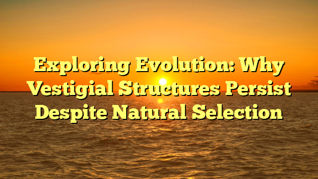 Exploring Evolution: Why Vestigial Structures Persist Despite Natural Selection