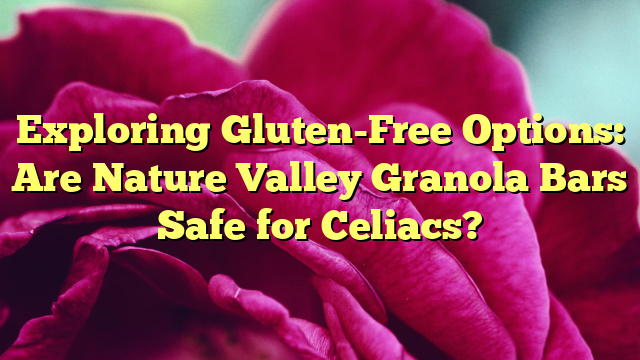 Exploring Gluten-Free Options: Are Nature Valley Granola Bars Safe for Celiacs?