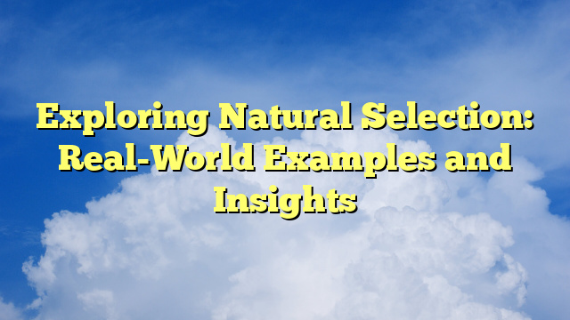Exploring Natural Selection: Real-World Examples and Insights
