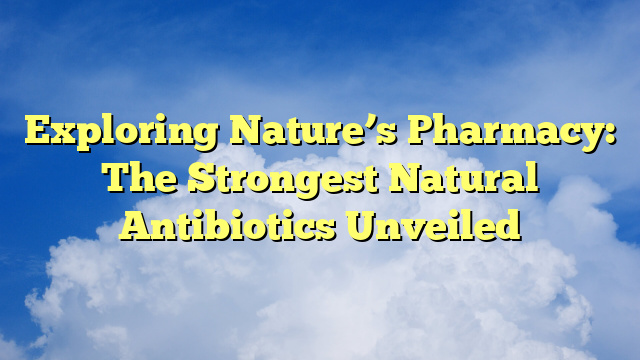 Exploring Nature’s Pharmacy: The Strongest Natural Antibiotics Unveiled
