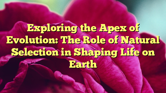 Exploring the Apex of Evolution: The Role of Natural Selection in Shaping Life on Earth