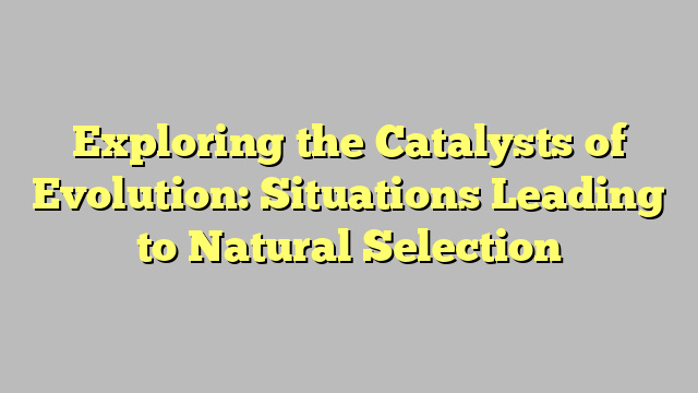 Exploring the Catalysts of Evolution: Situations Leading to Natural Selection
