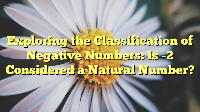 Exploring the Classification of Negative Numbers: Is -2 Considered a Natural Number?