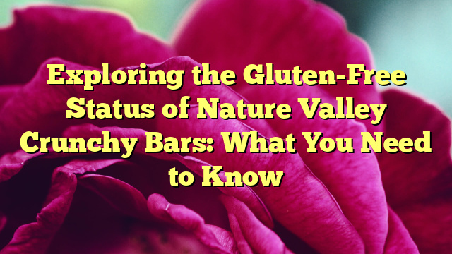 Exploring the Gluten-Free Status of Nature Valley Crunchy Bars: What You Need to Know