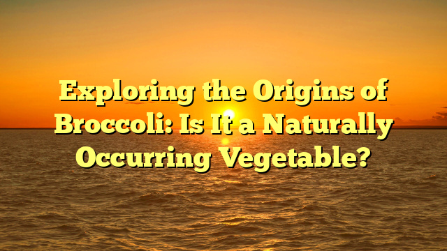 Exploring the Origins of Broccoli: Is It a Naturally Occurring Vegetable?