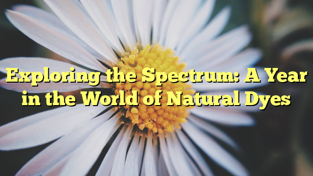 Exploring the Spectrum: A Year in the World of Natural Dyes