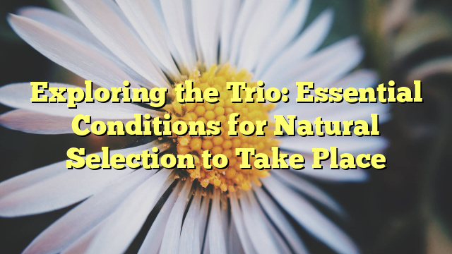 Exploring the Trio: Essential Conditions for Natural Selection to Take Place