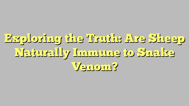 Exploring the Truth: Are Sheep Naturally Immune to Snake Venom?