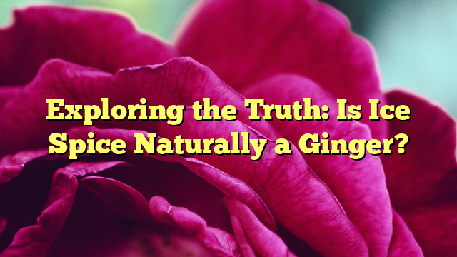 Exploring the Truth: Is Ice Spice Naturally a Ginger?