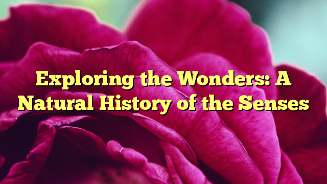 Exploring the Wonders: A Natural History of the Senses