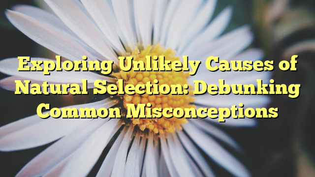Exploring Unlikely Causes of Natural Selection: Debunking Common Misconceptions