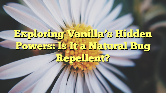 Exploring Vanilla’s Hidden Powers: Is It a Natural Bug Repellent?