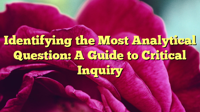 Identifying the Most Analytical Question: A Guide to Critical Inquiry