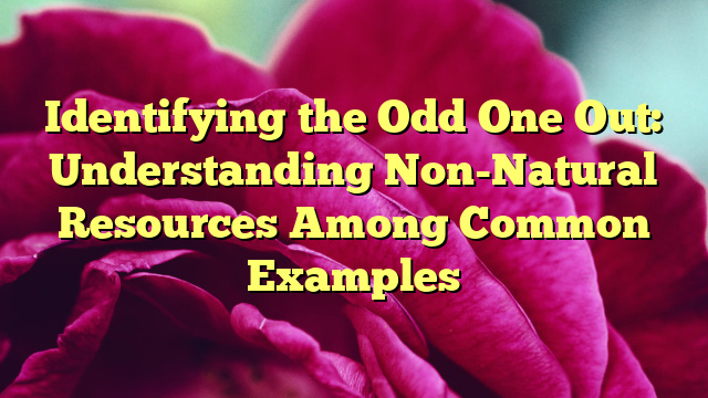Identifying the Odd One Out: Understanding Non-Natural Resources Among Common Examples