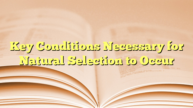 Key Conditions Necessary for Natural Selection to Occur