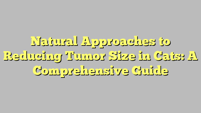 Natural Approaches to Reducing Tumor Size in Cats: A Comprehensive Guide