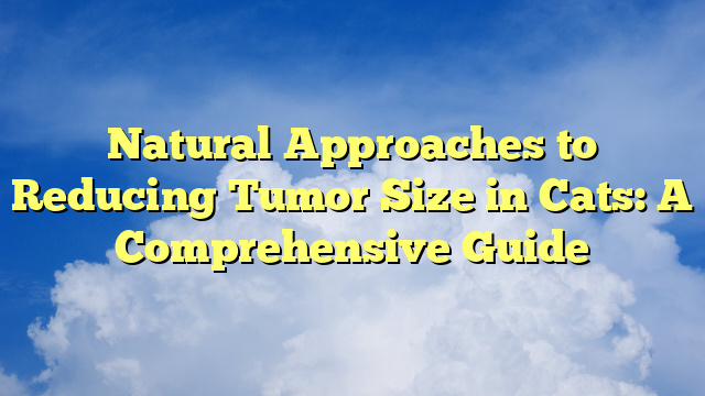 Natural Approaches to Reducing Tumor Size in Cats: A Comprehensive Guide