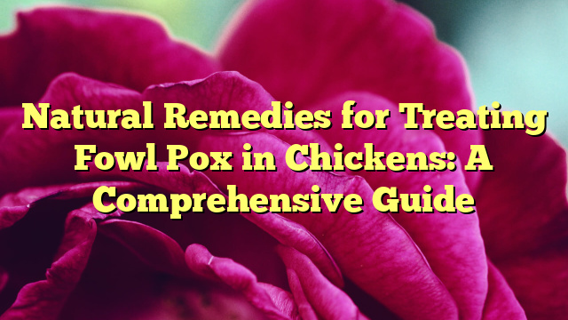 Natural Remedies for Treating Fowl Pox in Chickens: A Comprehensive Guide
