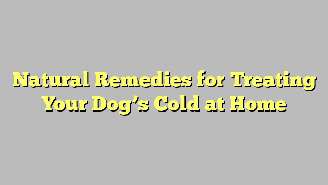 Natural Remedies for Treating Your Dog’s Cold at Home