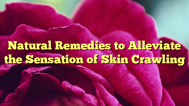 Natural Remedies to Alleviate the Sensation of Skin Crawling