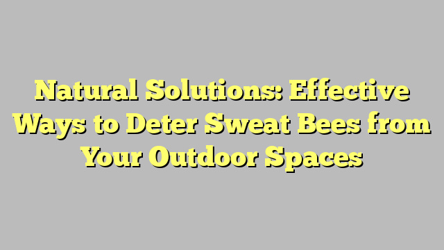 Natural Solutions: Effective Ways to Deter Sweat Bees from Your Outdoor Spaces