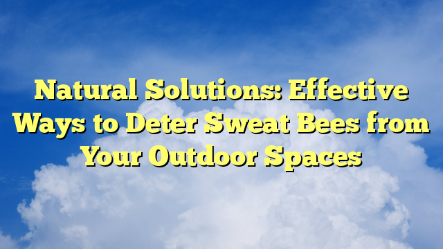 Natural Solutions: Effective Ways to Deter Sweat Bees from Your Outdoor Spaces