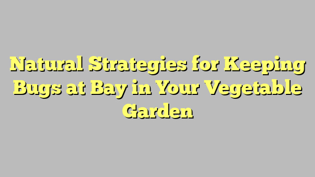 Natural Strategies for Keeping Bugs at Bay in Your Vegetable Garden