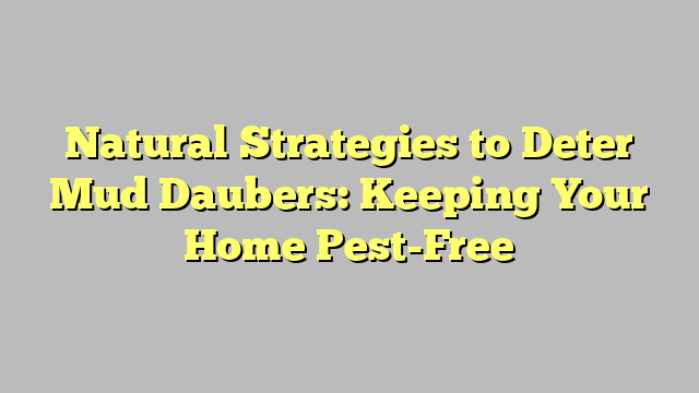 Natural Strategies to Deter Mud Daubers: Keeping Your Home Pest-Free