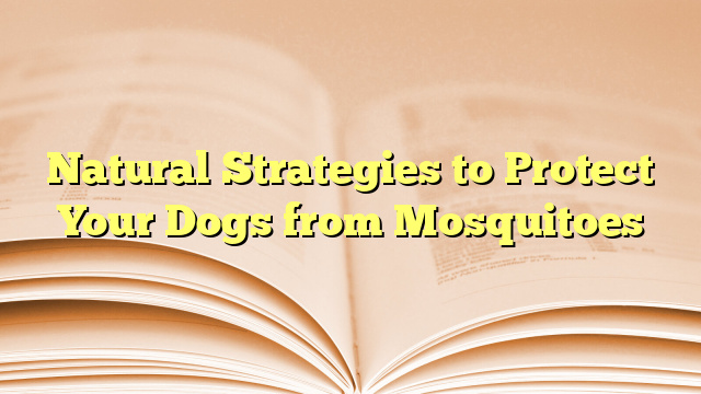 Natural Strategies to Protect Your Dogs from Mosquitoes