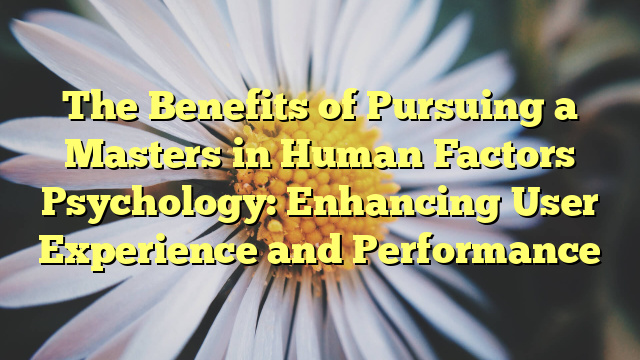 The Benefits of Pursuing a Masters in Human Factors Psychology: Enhancing User Experience and Performance