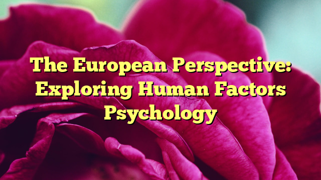 The European Perspective: Exploring Human Factors Psychology