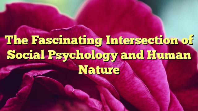 The Fascinating Intersection of Social Psychology and Human Nature