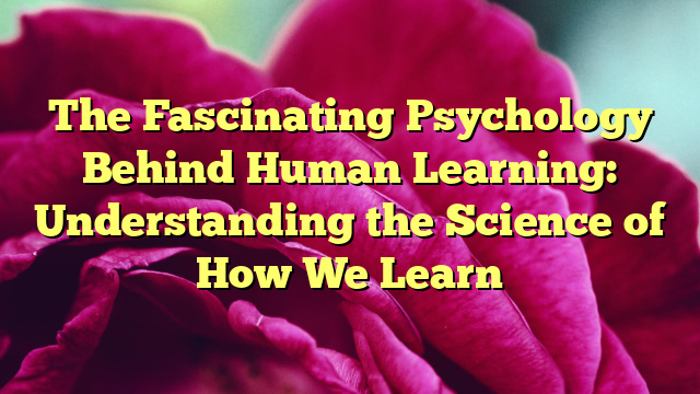 The Fascinating Psychology Behind Human Learning: Understanding the Science of How We Learn