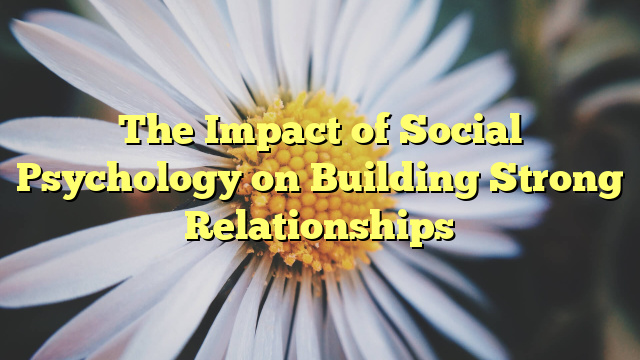 The Impact of Social Psychology on Building Strong Relationships