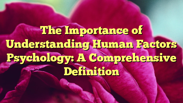The Importance of Understanding Human Factors Psychology: A Comprehensive Definition