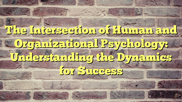 The Intersection of Human and Organizational Psychology: Understanding the Dynamics for Success