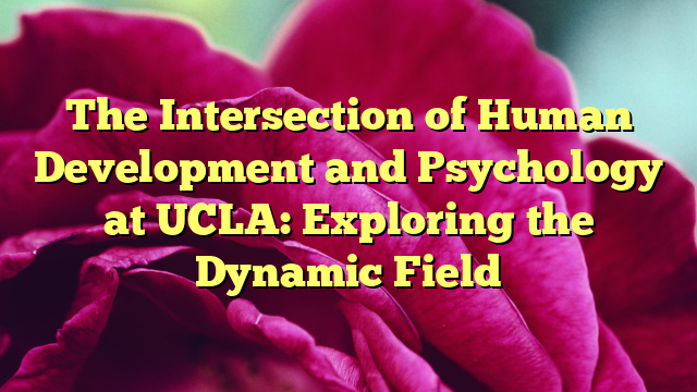 The Intersection of Human Development and Psychology at UCLA: Exploring the Dynamic Field
