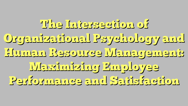 The Intersection of Organizational Psychology and Human Resource Management: Maximizing Employee Performance and Satisfaction