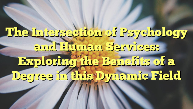 The Intersection of Psychology and Human Services: Exploring the Benefits of a Degree in this Dynamic Field