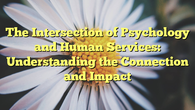 The Intersection of Psychology and Human Services: Understanding the Connection and Impact