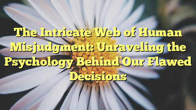 The Intricate Web of Human Misjudgment: Unraveling the Psychology Behind Our Flawed Decisions