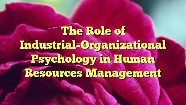 The Role of Industrial-Organizational Psychology in Human Resources Management