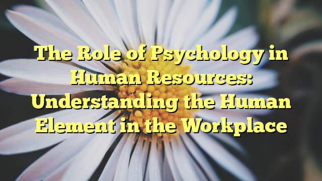 The Role of Psychology in Human Resources: Understanding the Human Element in the Workplace