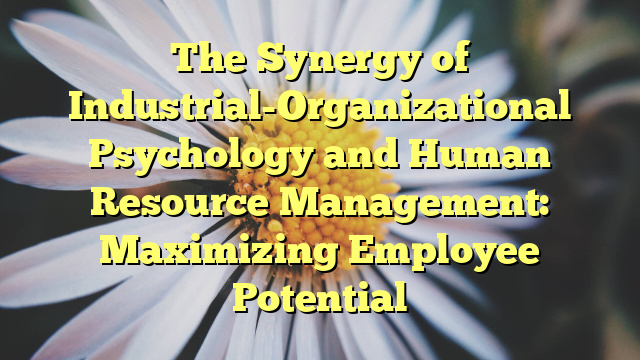 The Synergy of Industrial-Organizational Psychology and Human Resource Management: Maximizing Employee Potential
