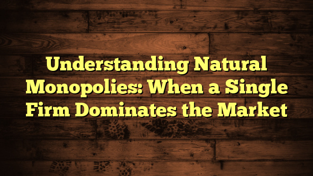Understanding Natural Monopolies: When a Single Firm Dominates the Market