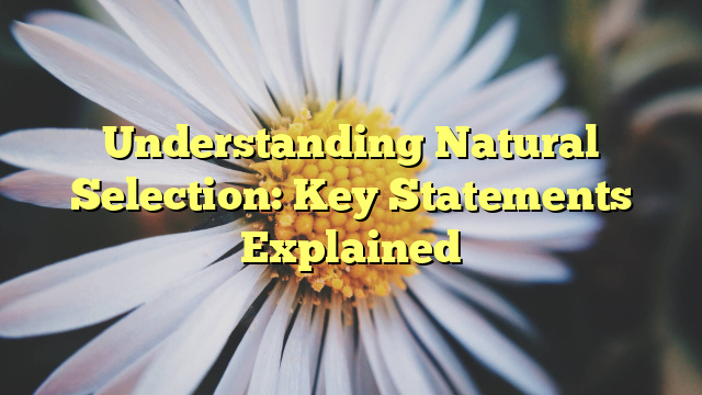 Understanding Natural Selection: Key Statements Explained